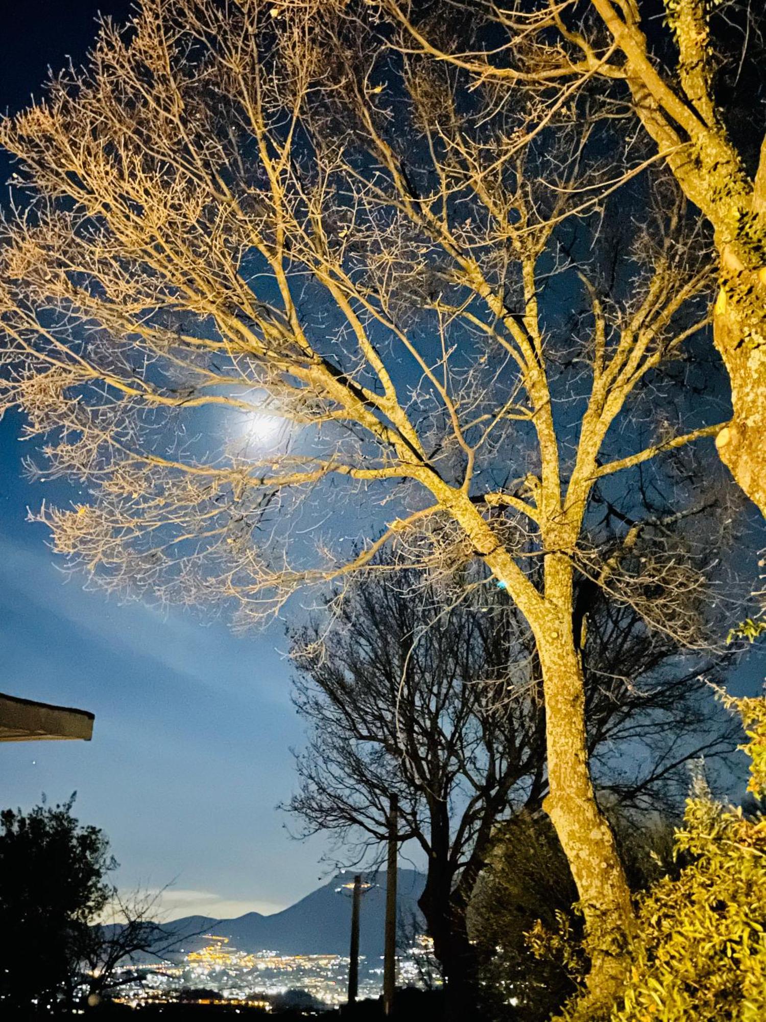 Villa Mandetta B&B Santo Stefano del Sole Kültér fotó