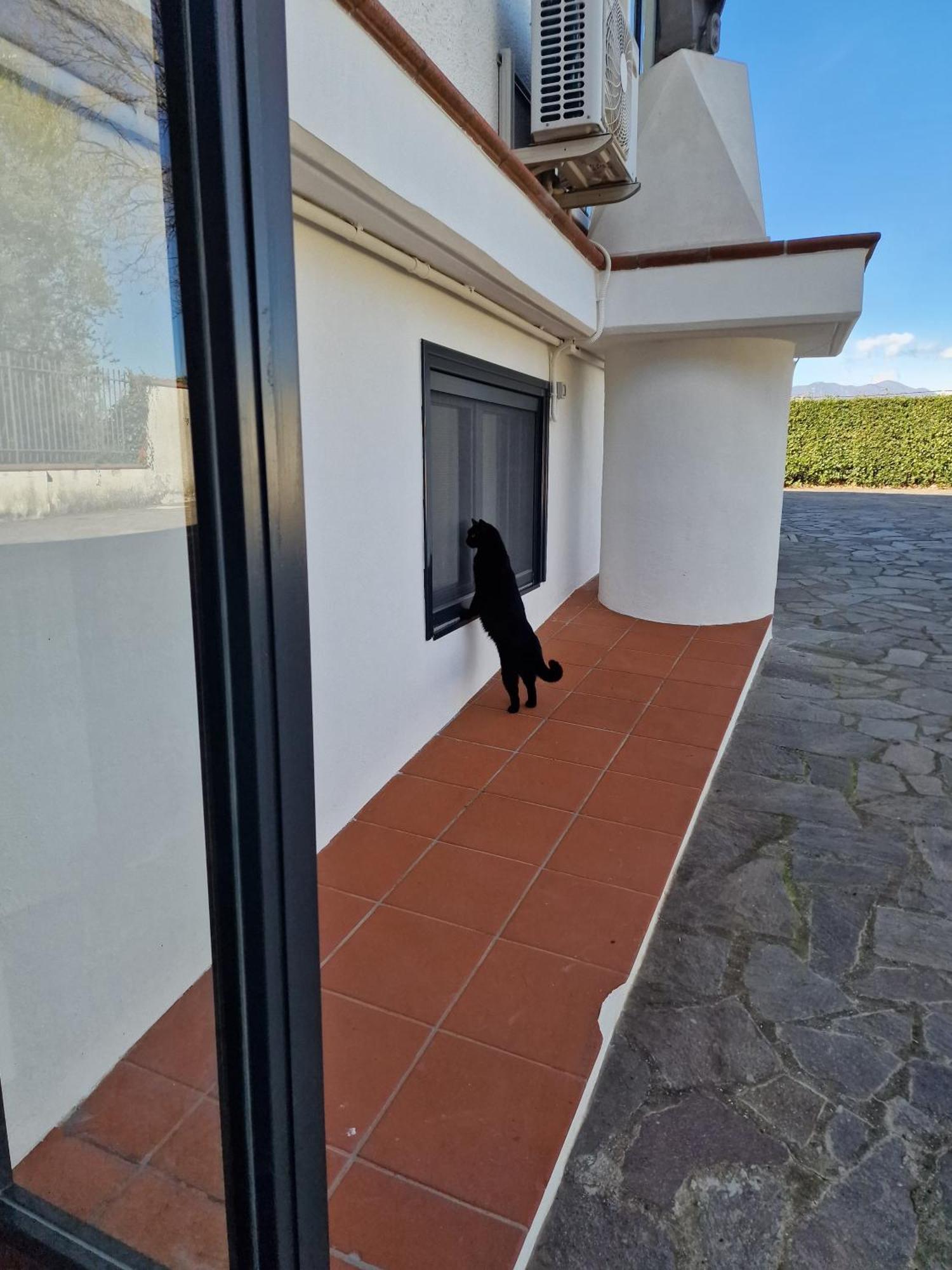 Villa Mandetta B&B Santo Stefano del Sole Kültér fotó